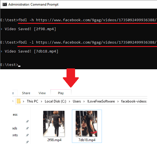 Fbdl downloading Facebook videos in action