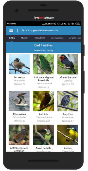 Bird guide Android app