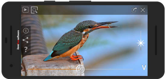 Bird guide Android app