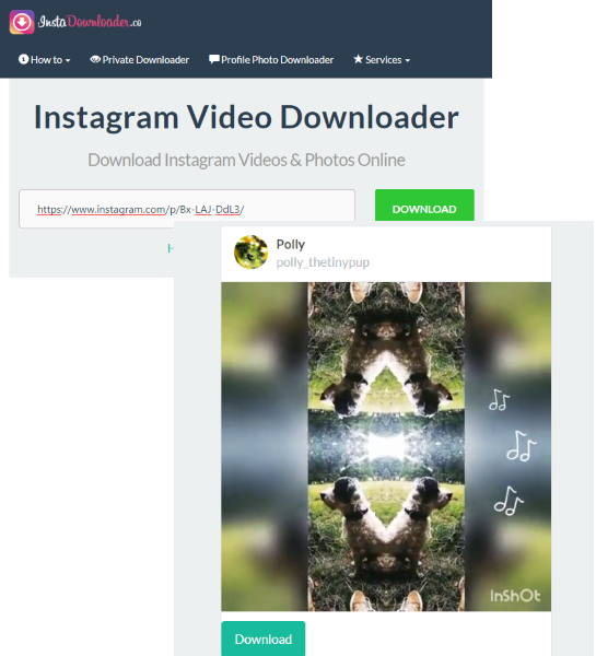 InstaDownloader.co website