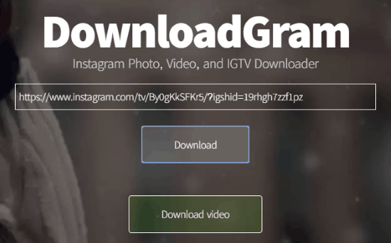 Download IGTV videos online