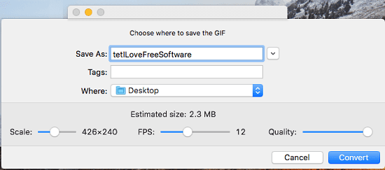 Gifski output GIF options