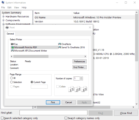 Microsoft system information tool and virtual printer