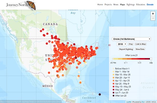 interactive_bird_migration_map-02