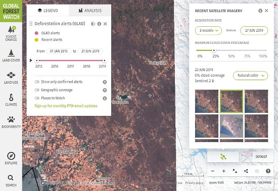 interactive_world_forest_map-01