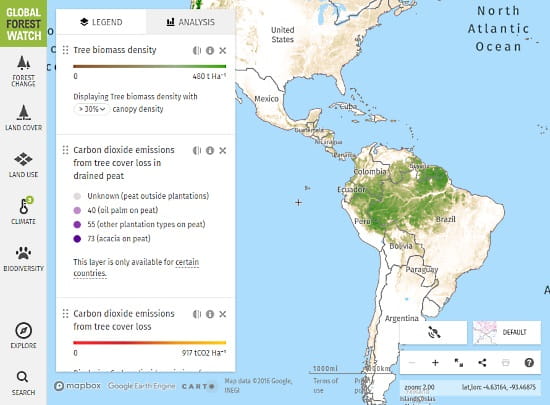 interactive_world_forest_map-03