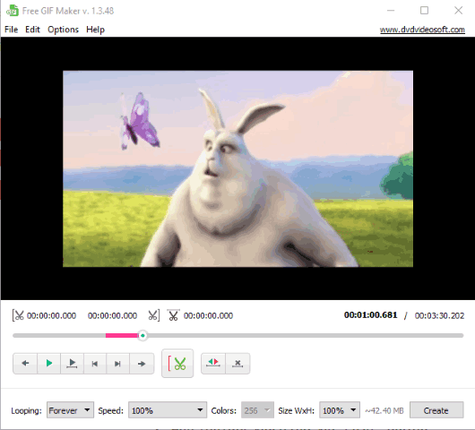 DVDVideoSoft Free GIF Maker