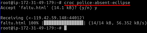 croc recieve files