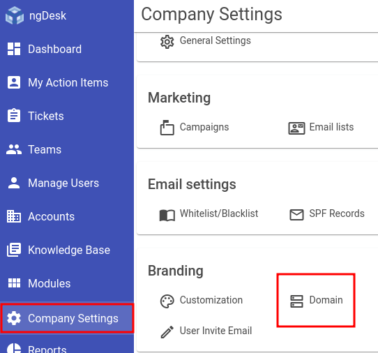 ngDesk domain