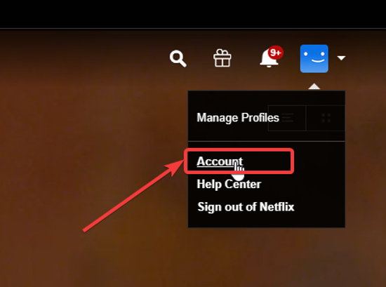 Netflix account