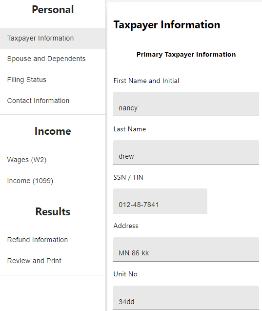 Tax Payer Information US Taxes