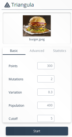 Traingula input parameters