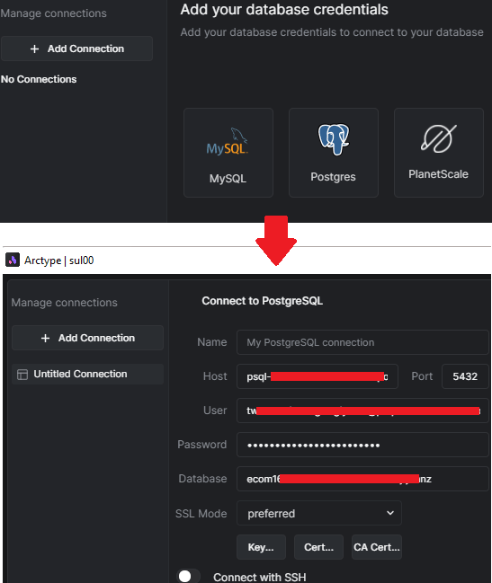 Arctype Database Connection