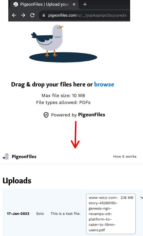 PigeonFiles Uploader in action