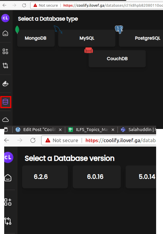 Databases and Their Version