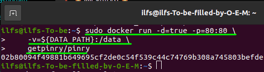 Docker Run Pinry