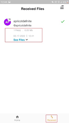 See Recieved Files