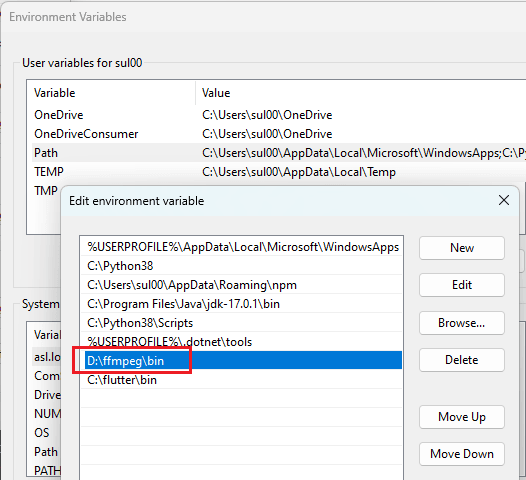 ffmpeg bin PATH to binary