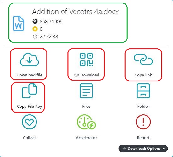 File Options