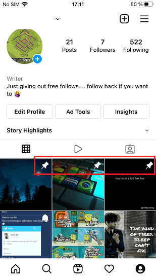 Instagram Pinned Posts on Profile