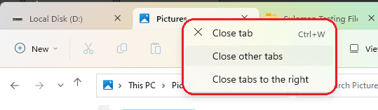 Windows 11 Explorer Tab Options