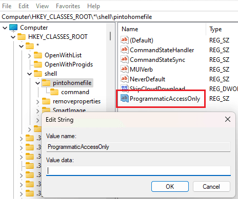 pintohomefile programatic access