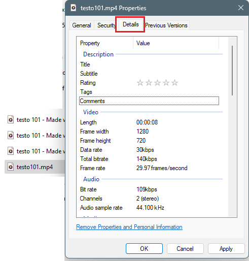 Details Tab of File Properties Dialog