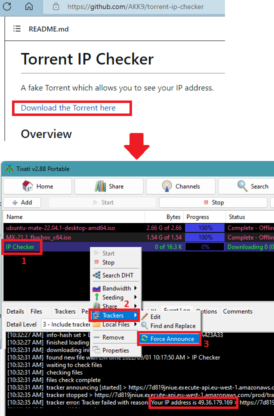 AKK9 Torrent IP Checker