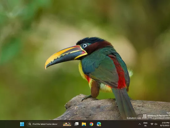 How to Enable Taskbar Search Tool on Windows 11