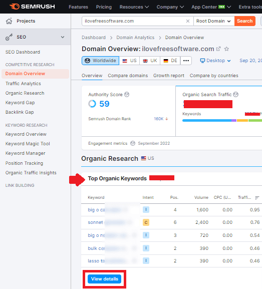 SEMrush Domain Overview