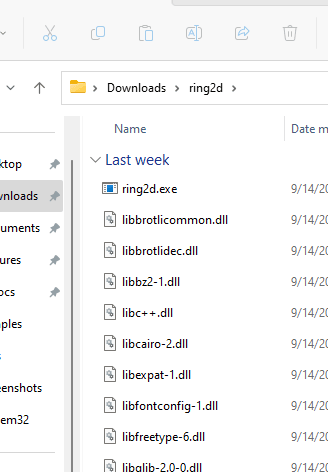 ring2d extracted files