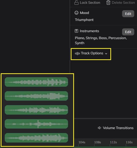 Track options