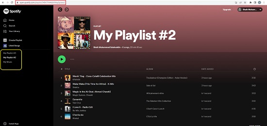 Spotify Playlist