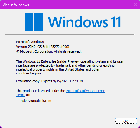 Windows 11 Insider Build