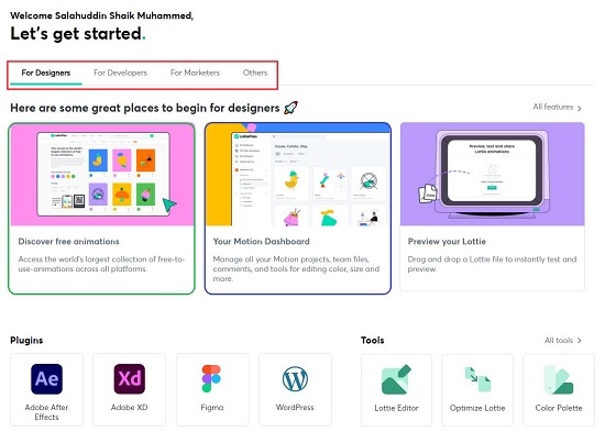 Lottieflies Editor