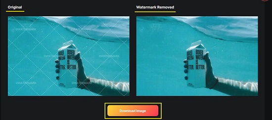 Watermark removed example 