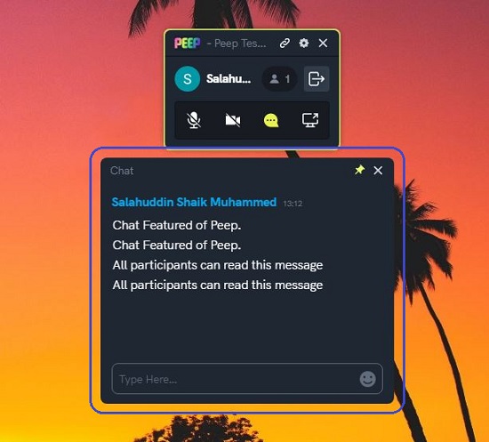 Chat Window