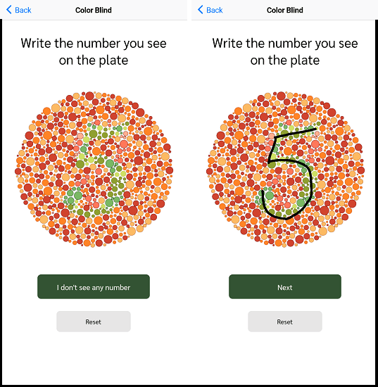 VisionCare Color Blindness Test