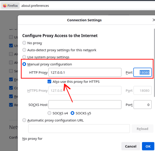 Firefox Proxy Settings