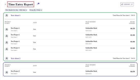 Time entry report