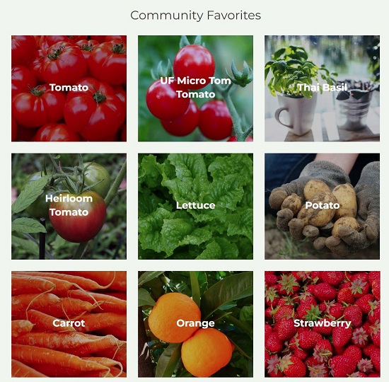 Community Favorites