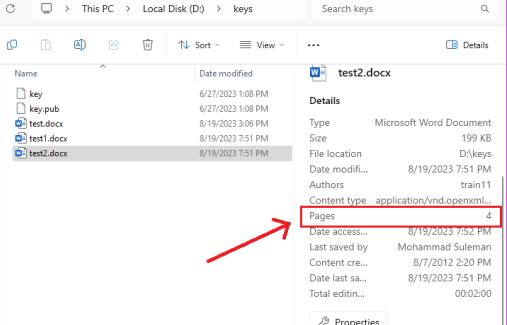 Windows Details Pane Showing Pages