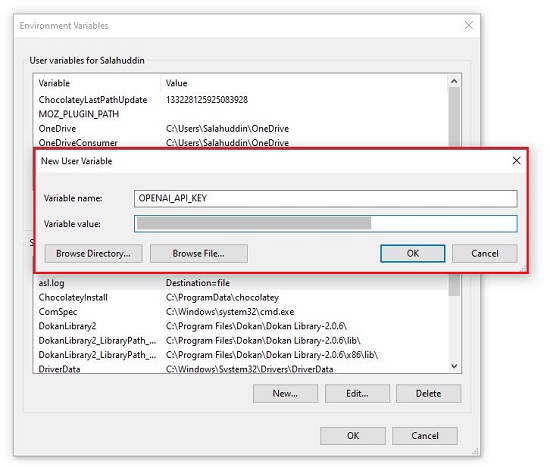 New environment variable