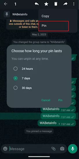 WhatsApp Pin Message in Group Chat