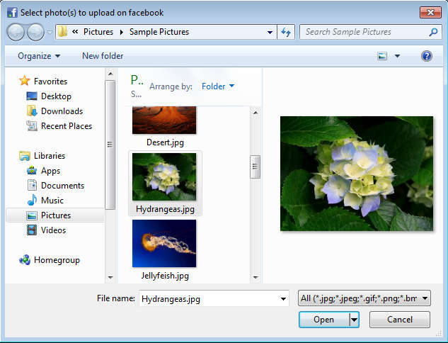 Easy Facebook Photo Uploader default window