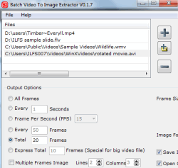 Batch Video To Image Extractor