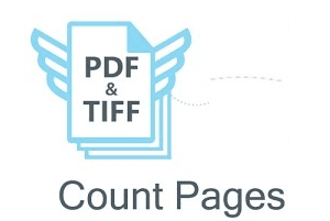 bulk pdf page counter and page size viewer