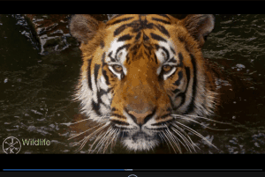 DVDFab Free Media Player