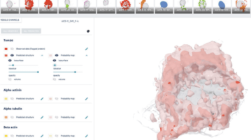 Visualize Real Stem Cell Models in 3D