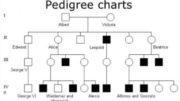 4 Best Free Online Pedigree Chart Maker Websites